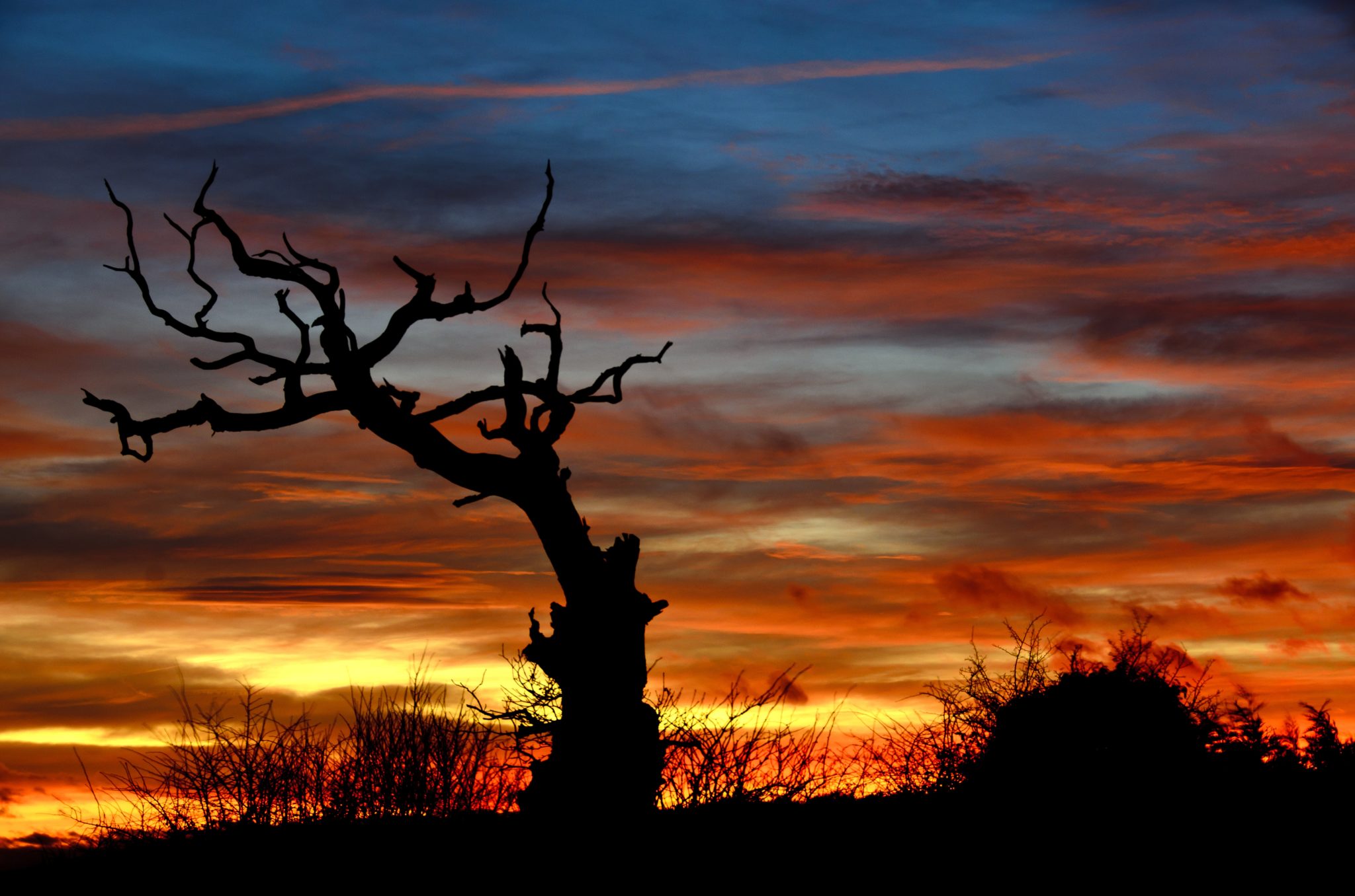 Winter Solstice Events 2022 United Kingdom News Paganism Religion 