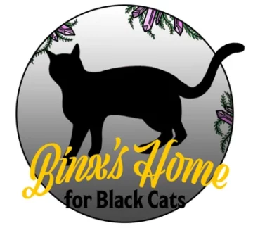 Find Your Familiar New organization helps black cats