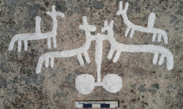 Stunning find of petroglyphs in Sweden