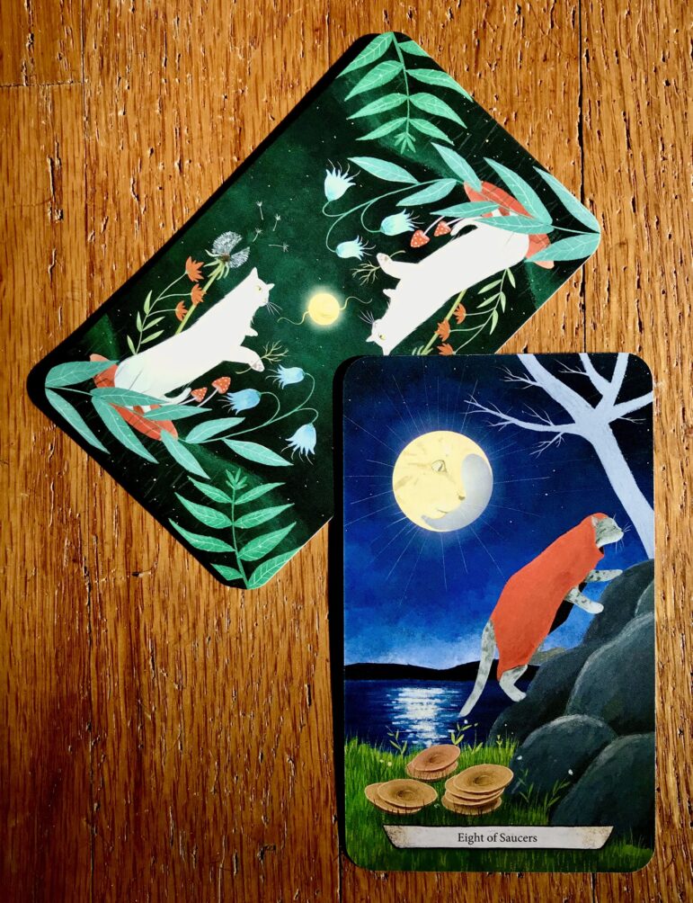 Tarot of the Week