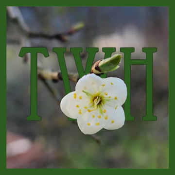 Pagan Community Notes: Ostara, 2025