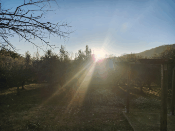 Beyond the Light: The Inescapable Reckoning of Yule