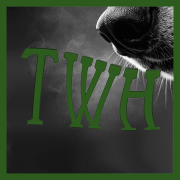 Pagan Community Notes: Week of February 12, 2026