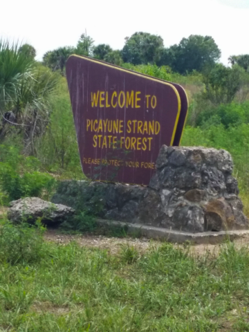 A Wilder World: Global Rewilding Efforts and a Landmark Law in Illinois