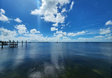 “God Squad” Waives Species Protections for Gulf Drilling Amid Broader Policy Shift