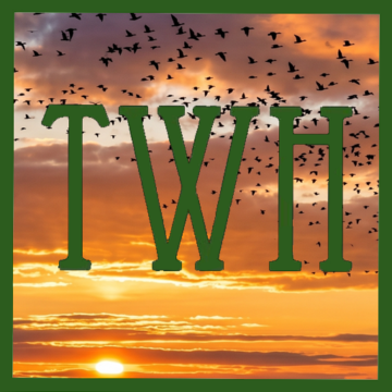 Pagan Community Notes: Week of May 7, 2026