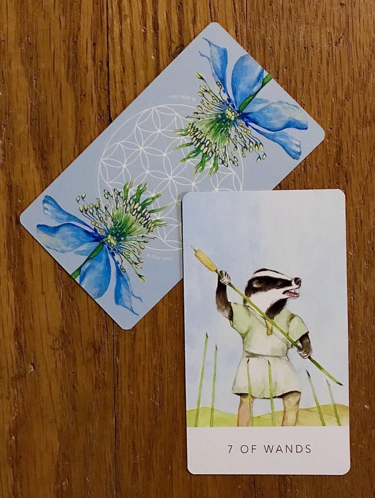 Tarot of the Week