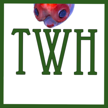 Pagan Community Notes: Week of June 11, 2026