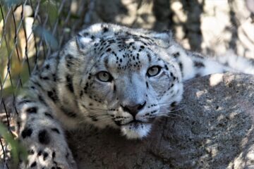We’re All Gaia’s Children