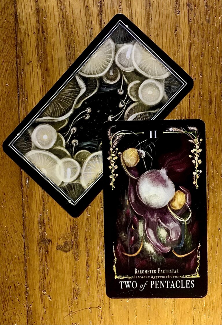 Tarot of the Week