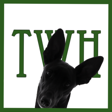Release the Hounds! Wait… What?