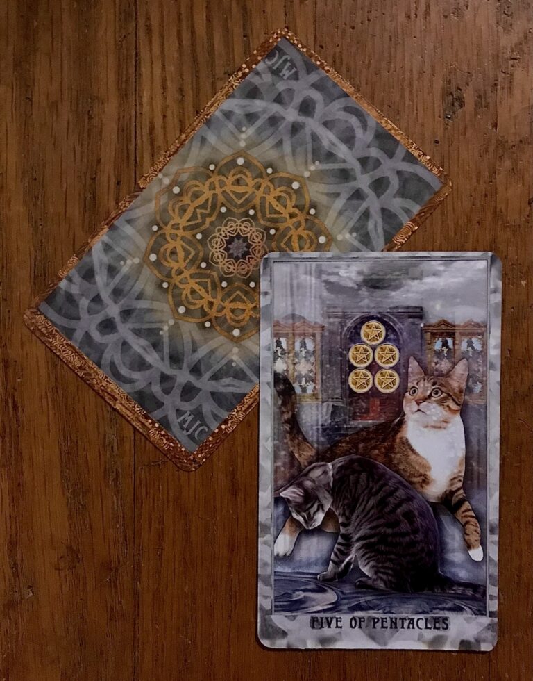 Tarot of the Week