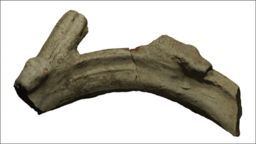 Serpents and Sabazios: Rare Find Points to Mystery Cult in Roman Spain