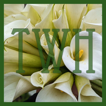 Pagan Community Notes: Week of October 29, 2026
